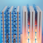 These finds collect water from thin air