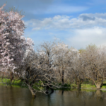 Your home owner insurance and liability from climate change