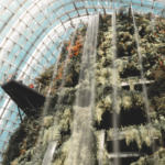 5 Ways to Ensure Cloud Sustainability