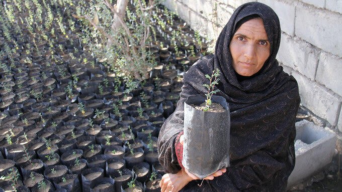 What is dark oxygen?
