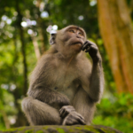 Hypothesis-Driven Growth: How to Turn Data into Revenue