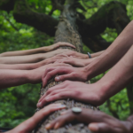The Hidden Factor in Leadership: How Trauma Impacts Your Team