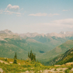 Weekend Favs September 21st