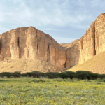 Saudi Arabia starts protecting nature for conservation