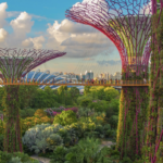 Is the Tel Aviv Marathon the greenest in the world?