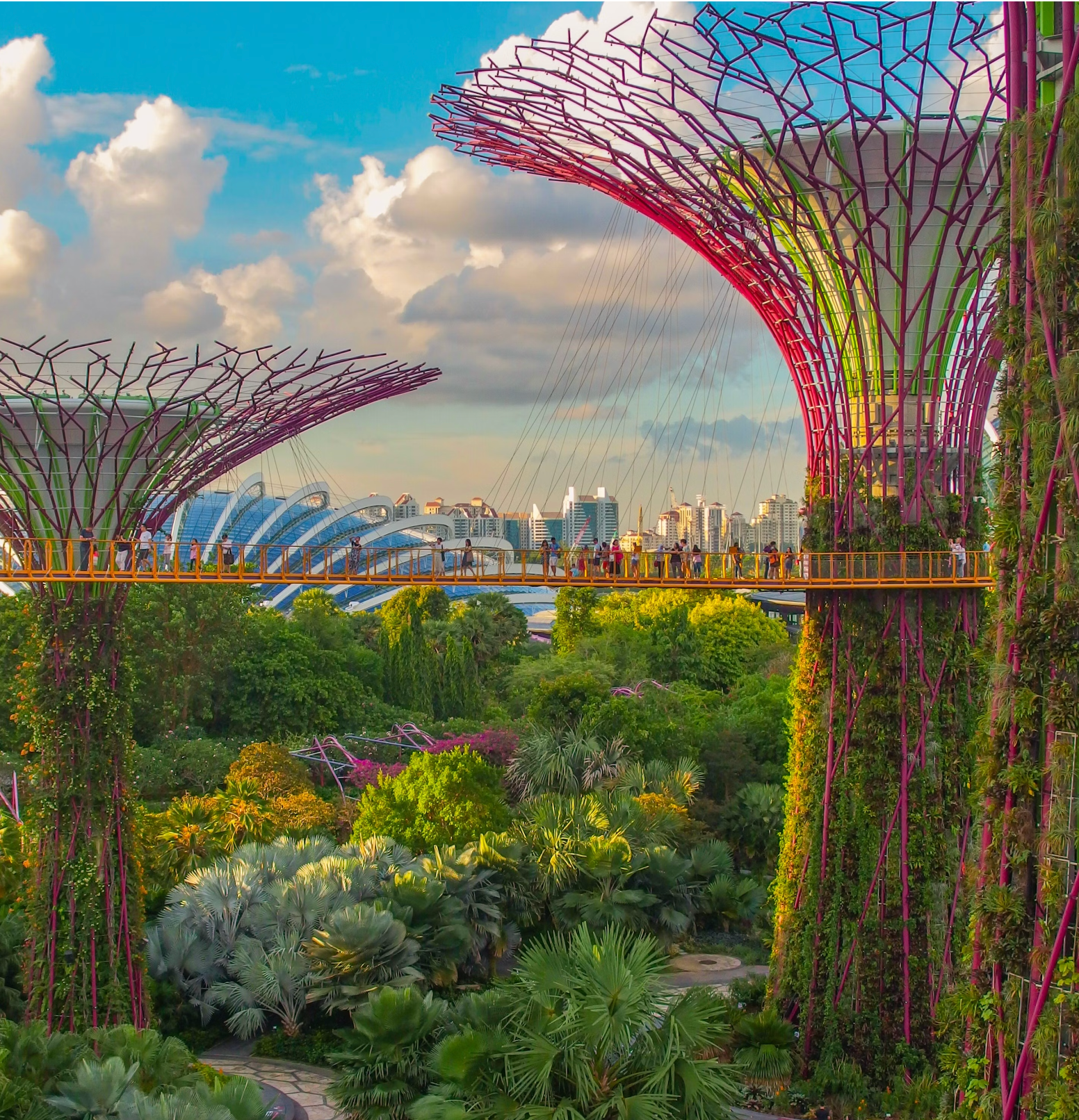 Is the Tel Aviv Marathon the greenest in the world?