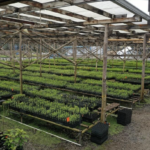 Most Israelis concerned about climate change, new survey
