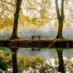 Weekend Favs November 30th