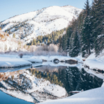 Weekend Favs January 11th