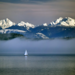 Washington bans marine aquaculture nets for farmed fish in world first