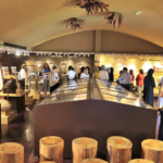 A museum for Middle East soil
