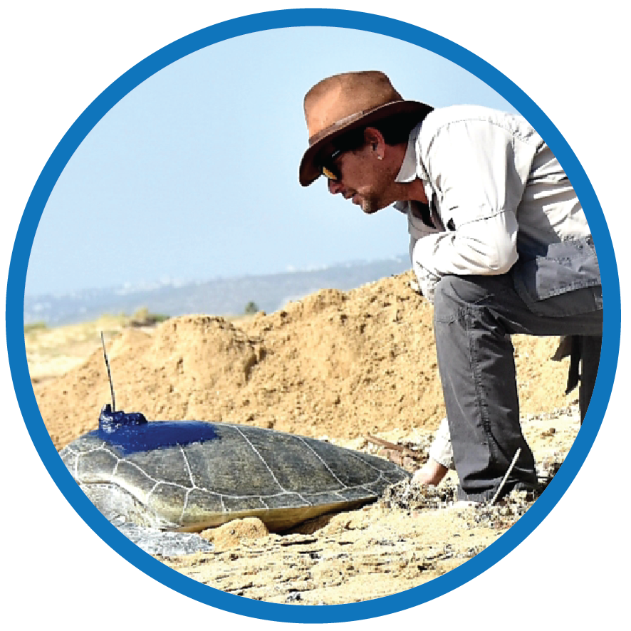 The Rising Threat of Woven Plastic Sacks to Eastern Mediterranean Sea Turtles