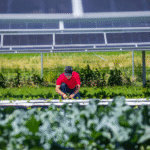 These glasses see microplastics on the farm