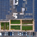 CIE Transport Pledges Solar Rollout Across All Buildings – Is It Time Your Business Went Solar Too?