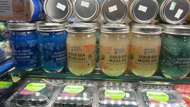 Sea Moss: The New Superfood, Or Just A Trend?