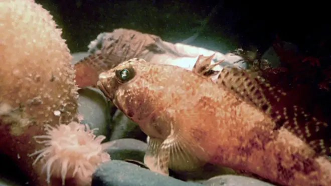 Kia’s bootcamp trains car mechanics on EVs and the future