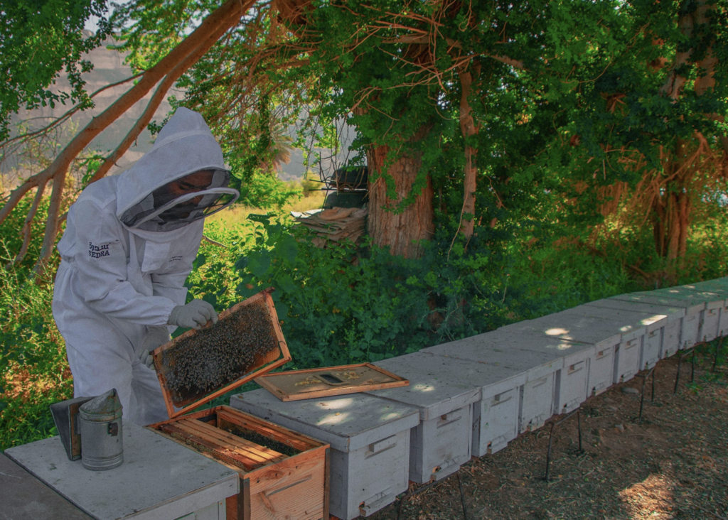 Farm To Table Israel Connects People To The Land